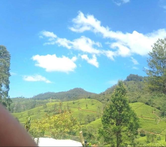 Nuwaraeliya Penthouse Apartment With Pool & Panaromic Views Nuwara Eliya Zewnętrze zdjęcie